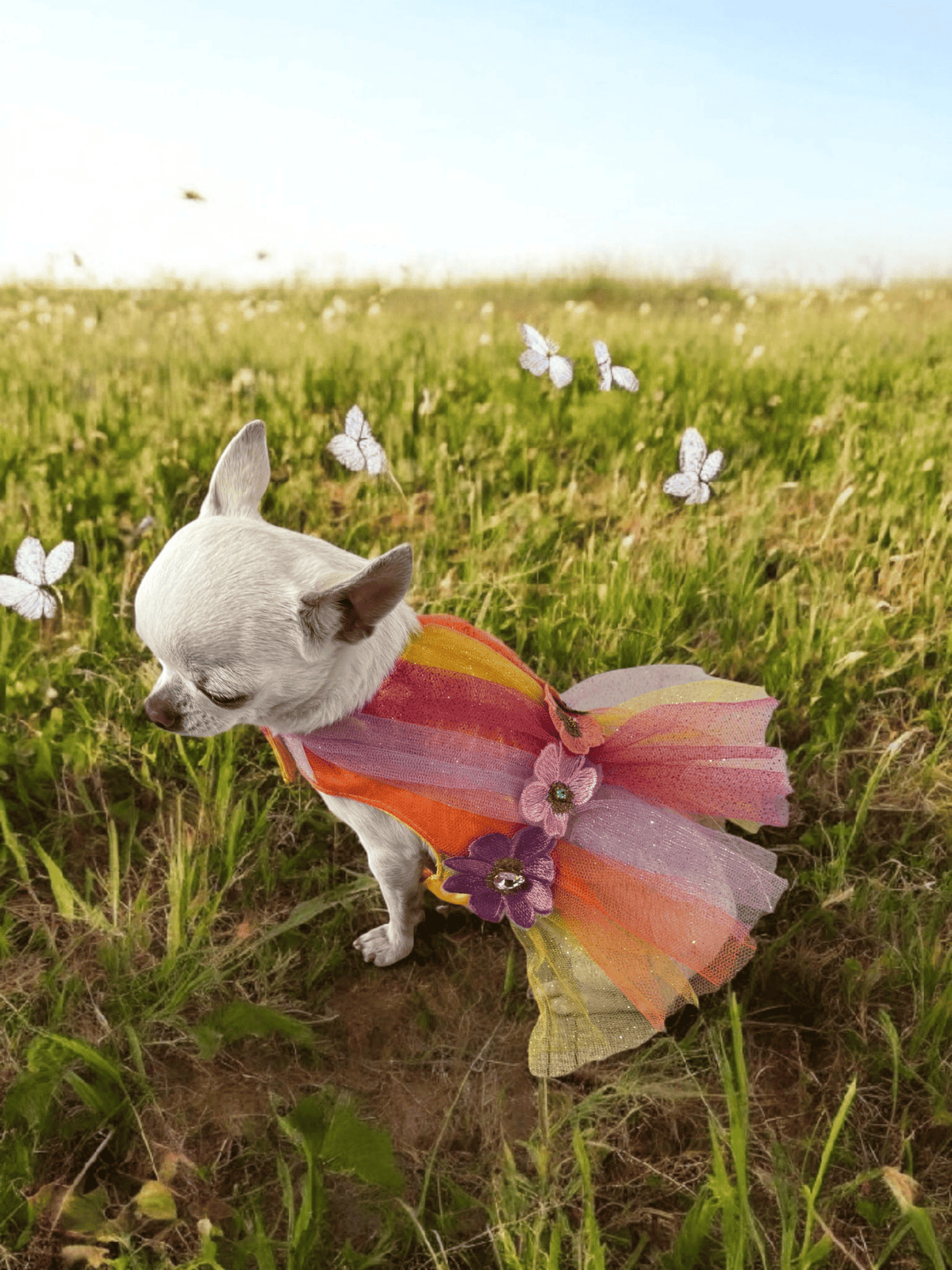 PERRINA vestido Arcoíris Floral para perros
