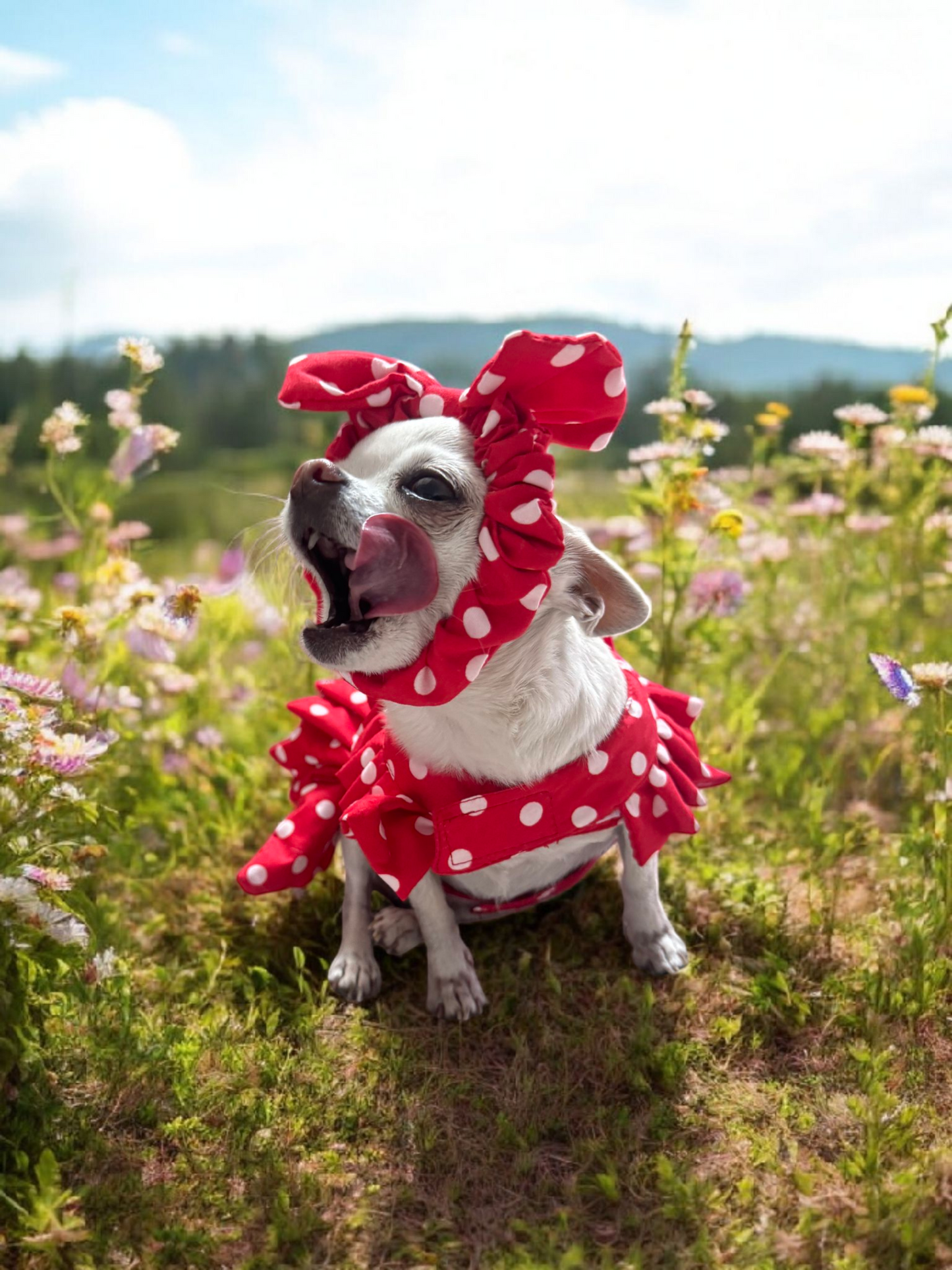PERRINA vestido rojo con lunares para perros y gatos, razas chicas medianas y grandes