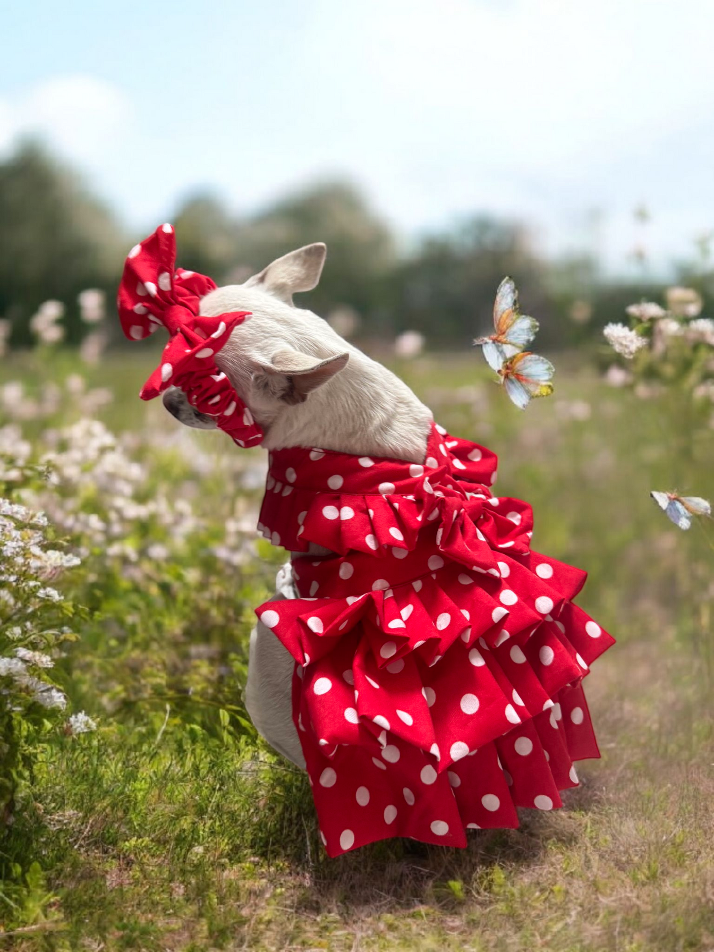 PERRINA vestido rojo con lunares para perros y gatos, razas chicas medianas y grandes