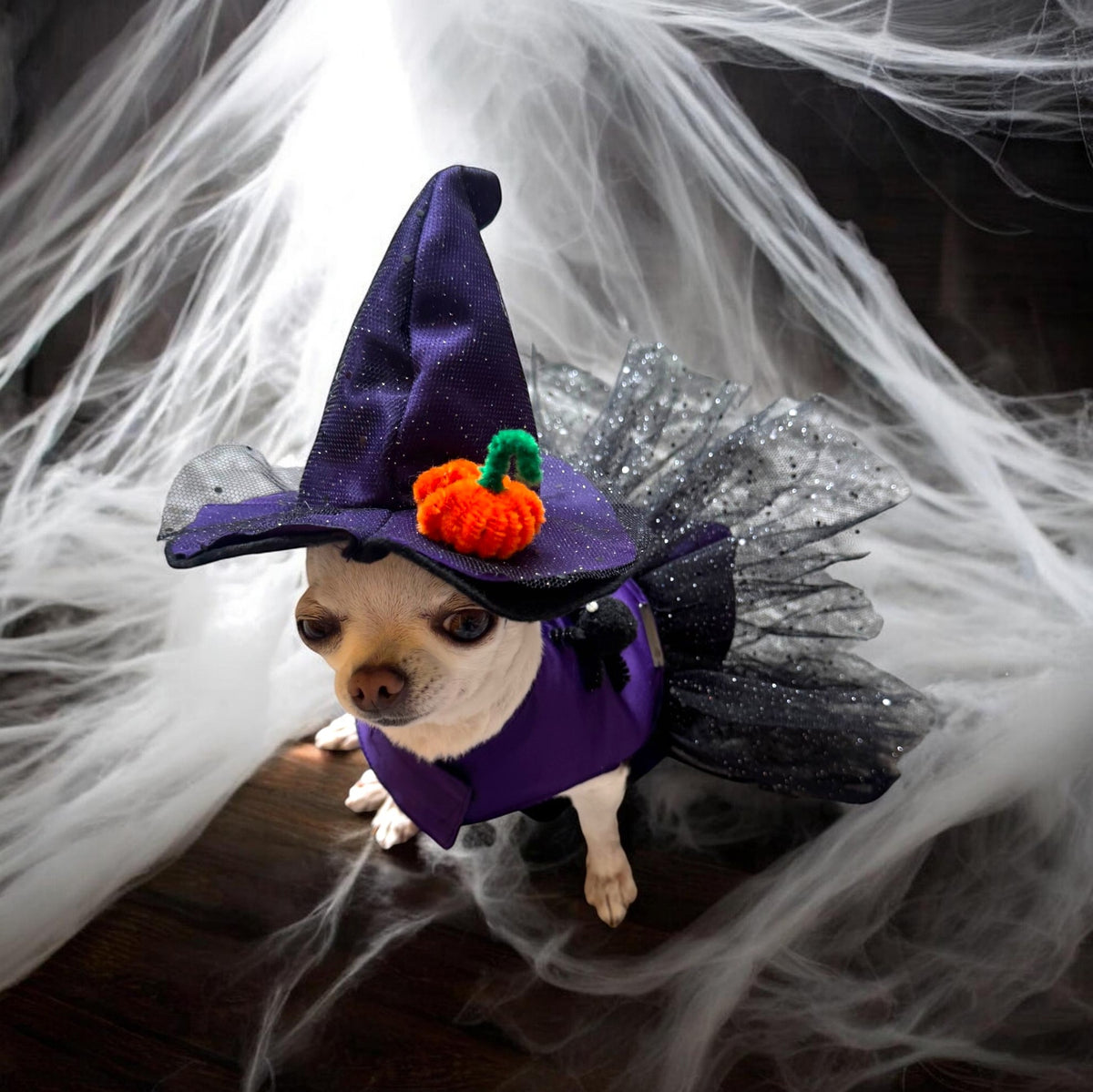 PERRINA disfraz de bruja con tul de brillos y sombrero para Mascota Perro y Gato, razas chicas medianas y grandes