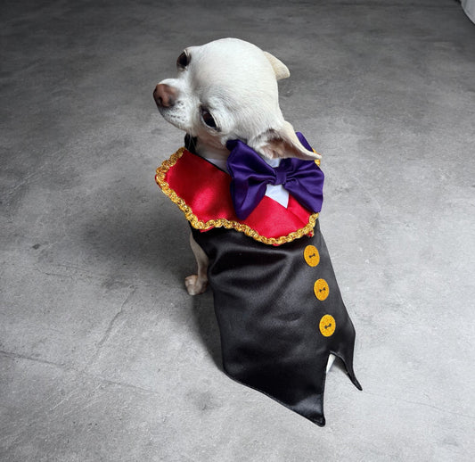 Perrina disfraz de vampiro con moño para perros y gatos, razas chicas medianas y grandes