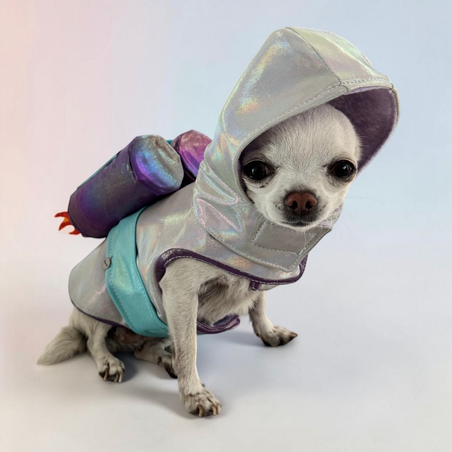 PERRINA disfraz de astronauta con cohetes para perros y gatos razas chicas medianas y grandes