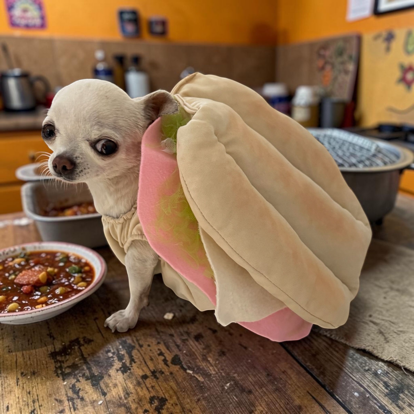 PERRINA disfraz divertido de torta de Jamon, para mascotas, perros y gatos razas chicas medianas y grandes