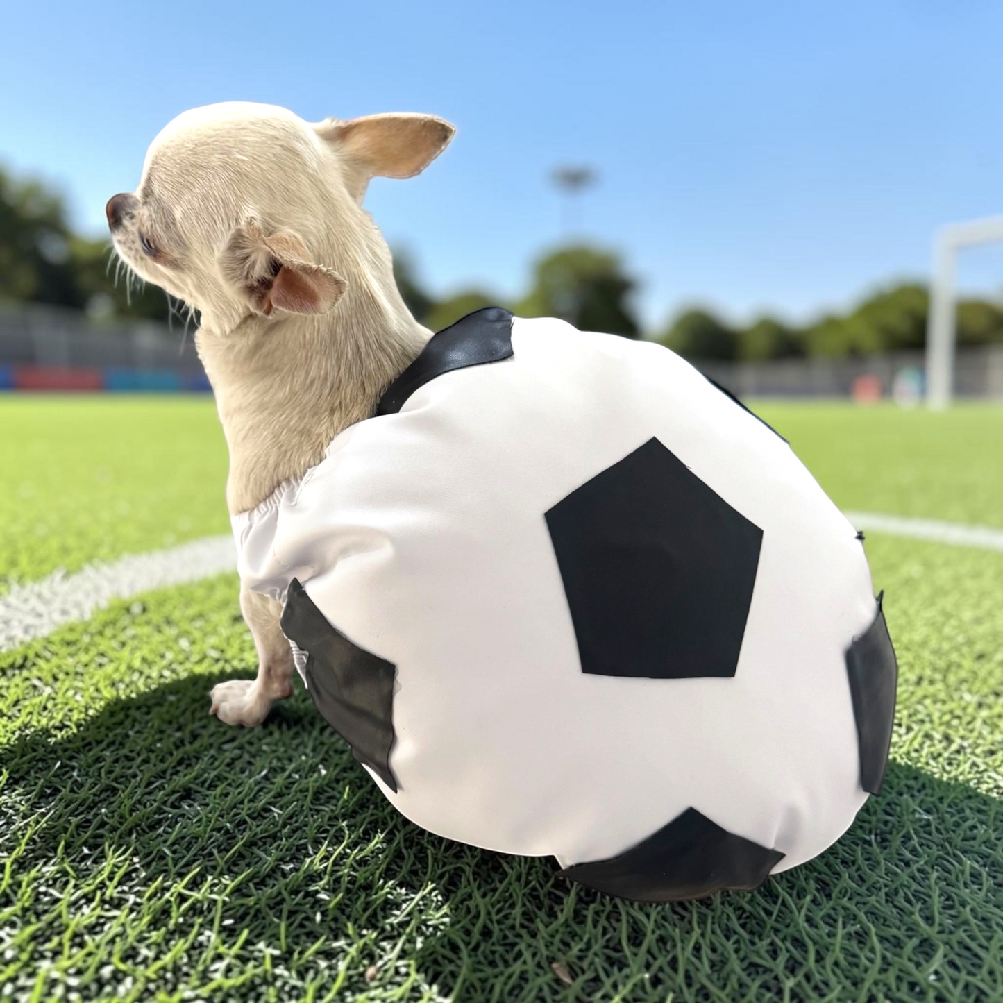 PERRINA disfraz de balón de soccer para mascotas, razas chicas medianas y grandes, perros y gatos
