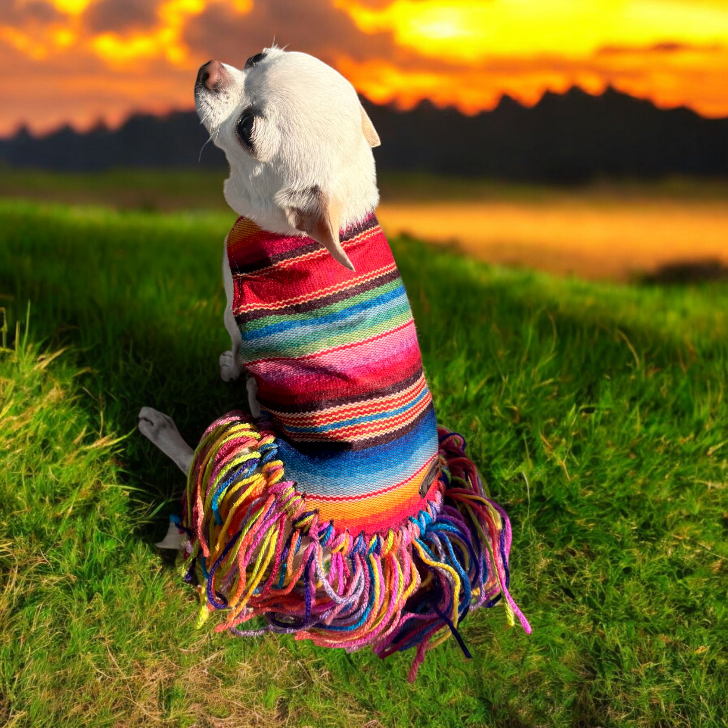 PERRINA zarape con flecos, para mascotas, perros y gatos razas chicas medianas y grandes