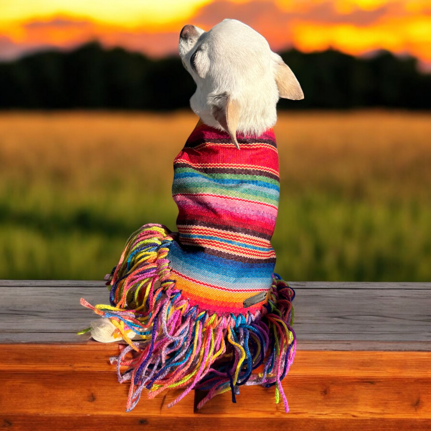 PERRINA zarape con flecos, para mascotas, perros y gatos razas chicas medianas y grandes