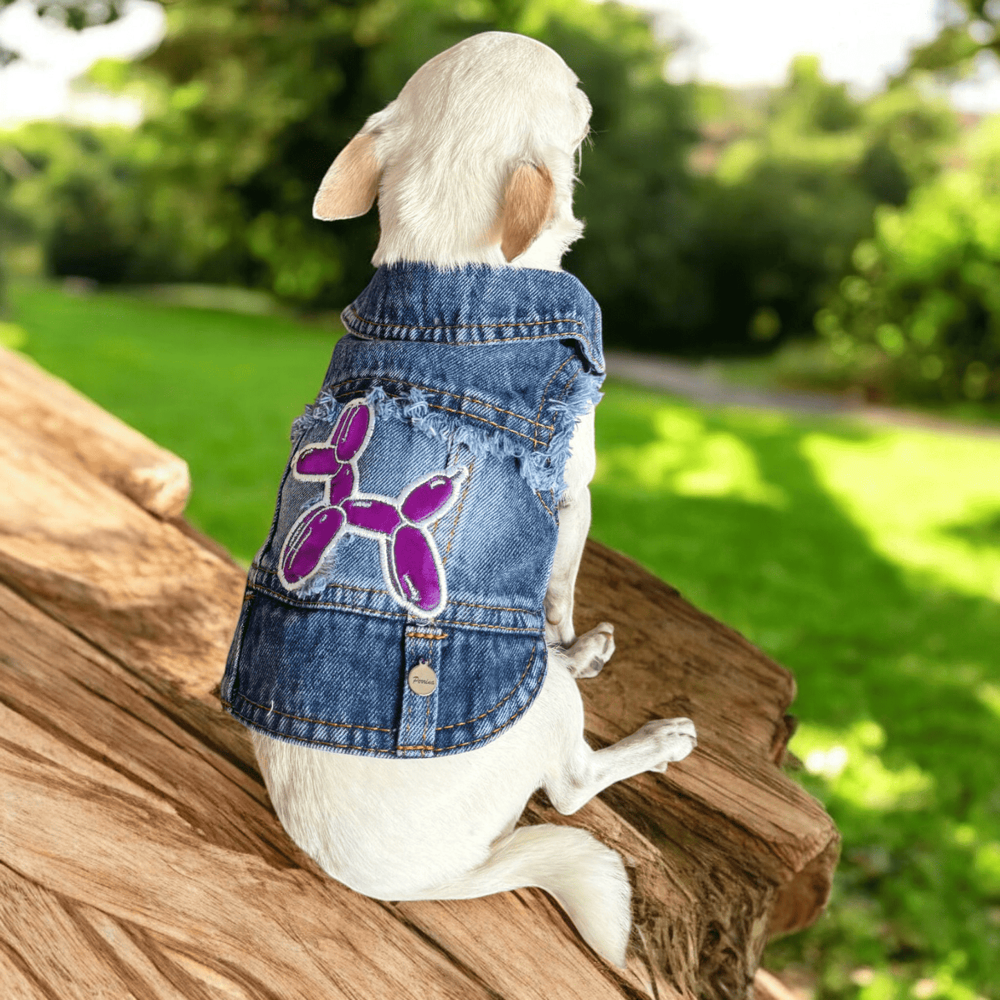 PERRINA chaleco denim con parche de globo para mascotas, perros y gatos razas chicas medianas y grandes