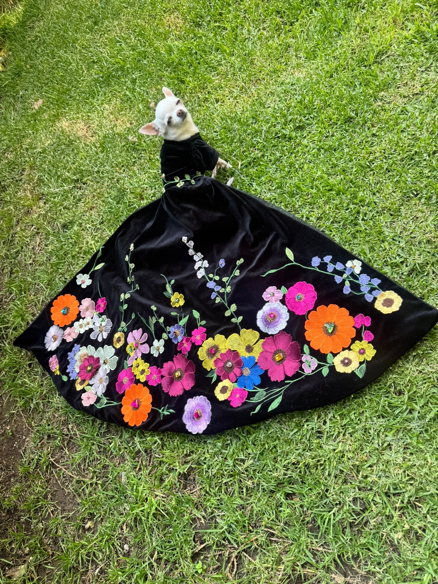 PERRINA vestido largo floral color negro para perros y gatos razas chicas medianas y grandes