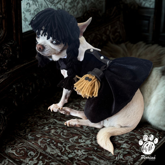 PERRINA DISFRAZ DE MERLINA PARA PERRO Y GATO TODAS LAS TALLAS