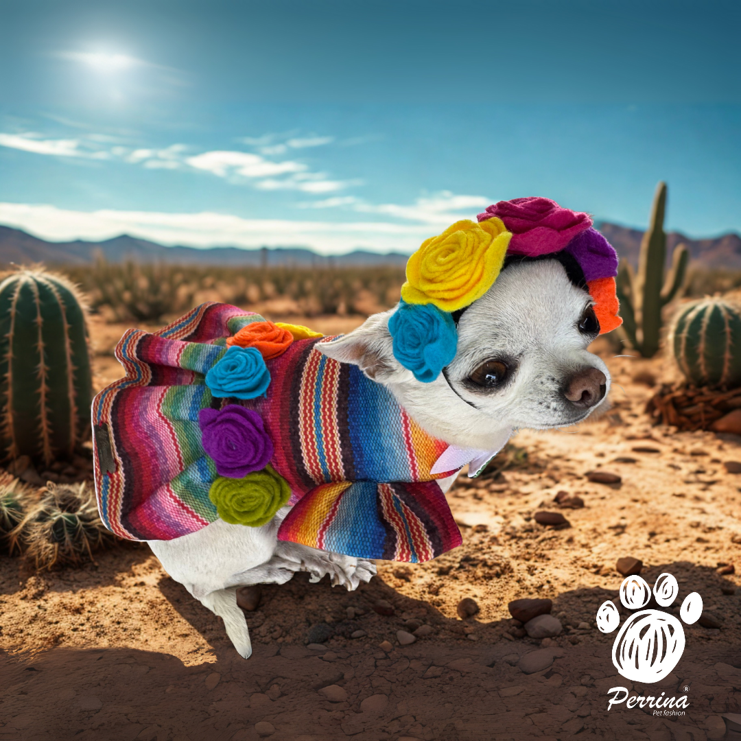 PERRINA VESTIDO DE ZARAPE PARA PERRO Y GATO TODAS LAS TALLAS