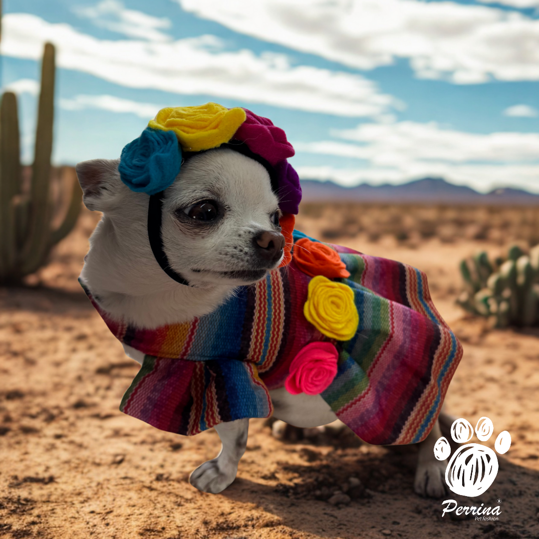 PERRINA VESTIDO DE ZARAPE PARA PERRO Y GATO TODAS LAS TALLAS