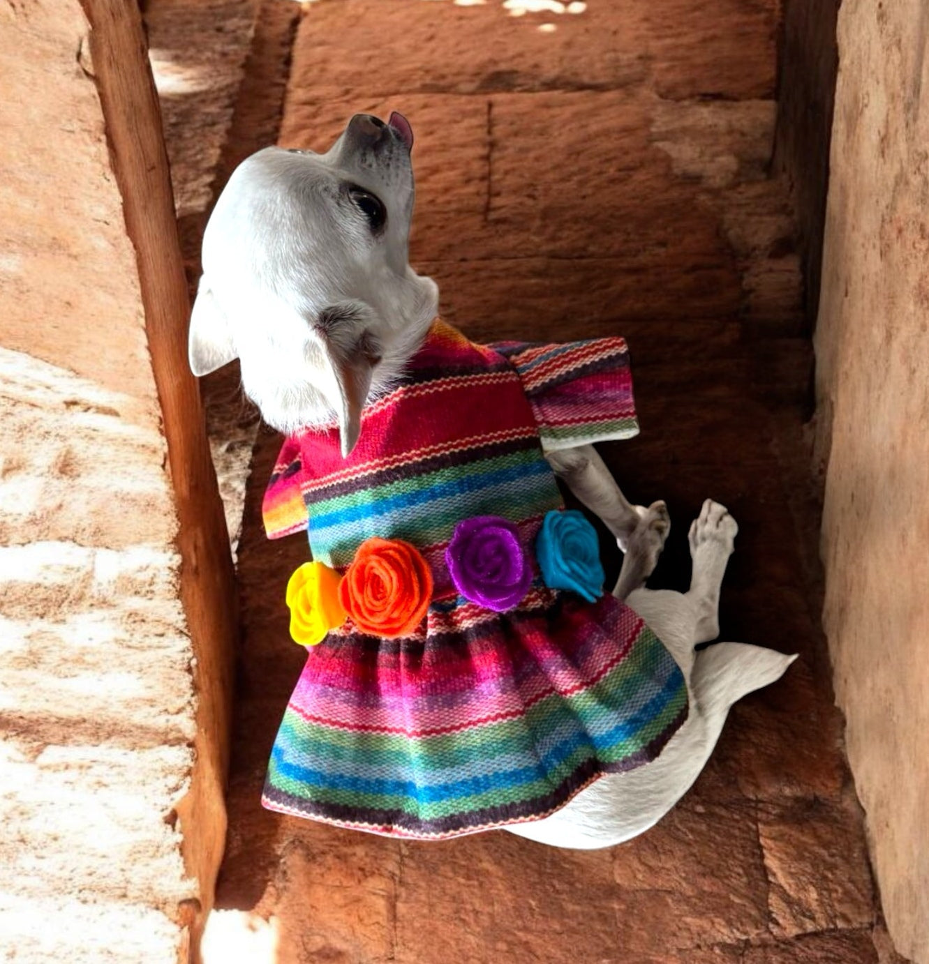 PERRINA vestido tipo zarape con flores 3d para Mascota Perro y Gato Razas chicas medianas y grandes