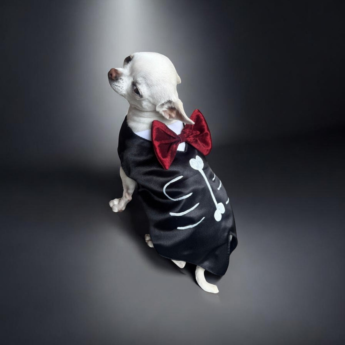 PERRINA disfraz de catrin con moño rojo para Mascota Perro y Gato, razas chicas medianas y grandes