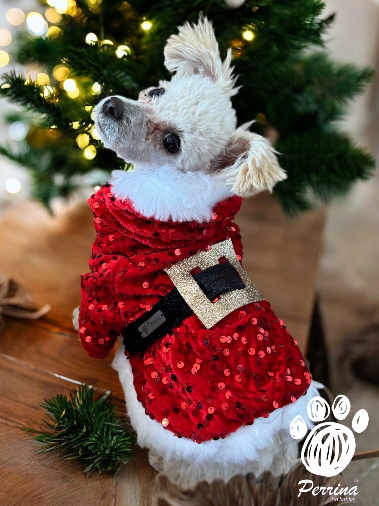 PERRINA capa de Santa Clous para navidad, Para perros y gatos razas chicas medianas y grandes