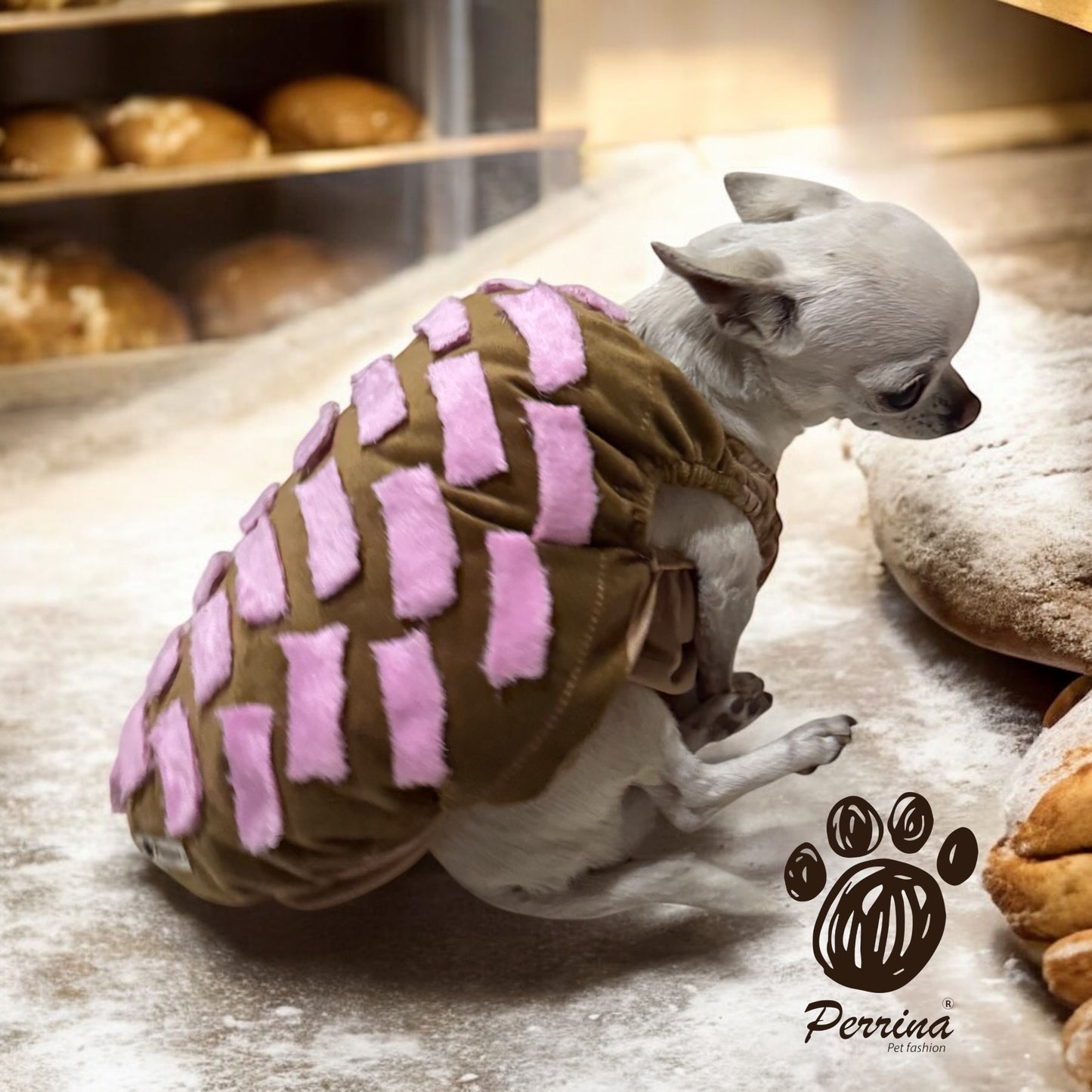 PERRINA disfraz de pan, Concha de chocolate, vainilla, fresa, para perros y gatos razas chicas medianas y grandes